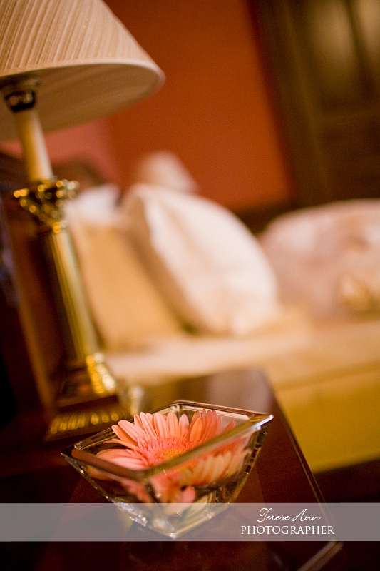 _MG_5877.jpg
