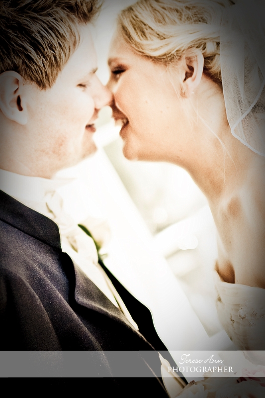 _MG_6357-Edit-Edit.jpg
