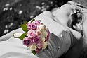 _MG_6423-Edit