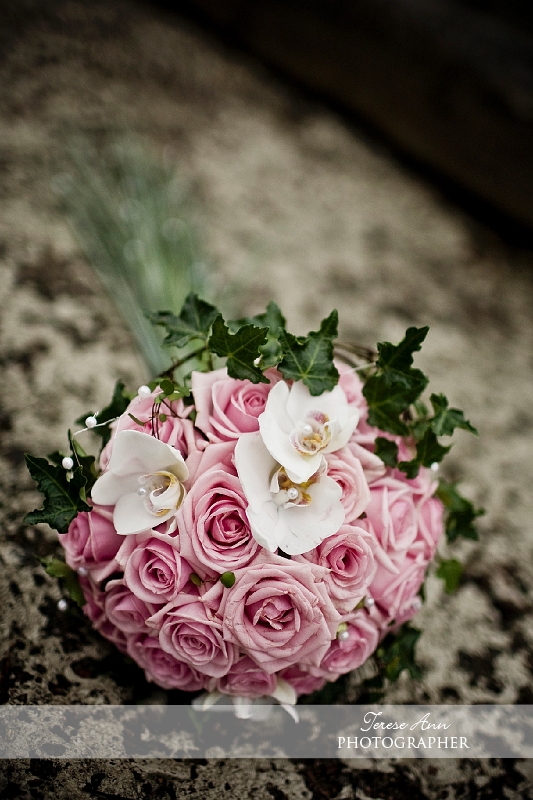 _MG_6478.jpg